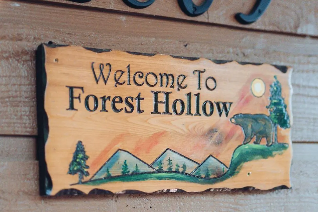 Forest Hollow Pigeon Forge