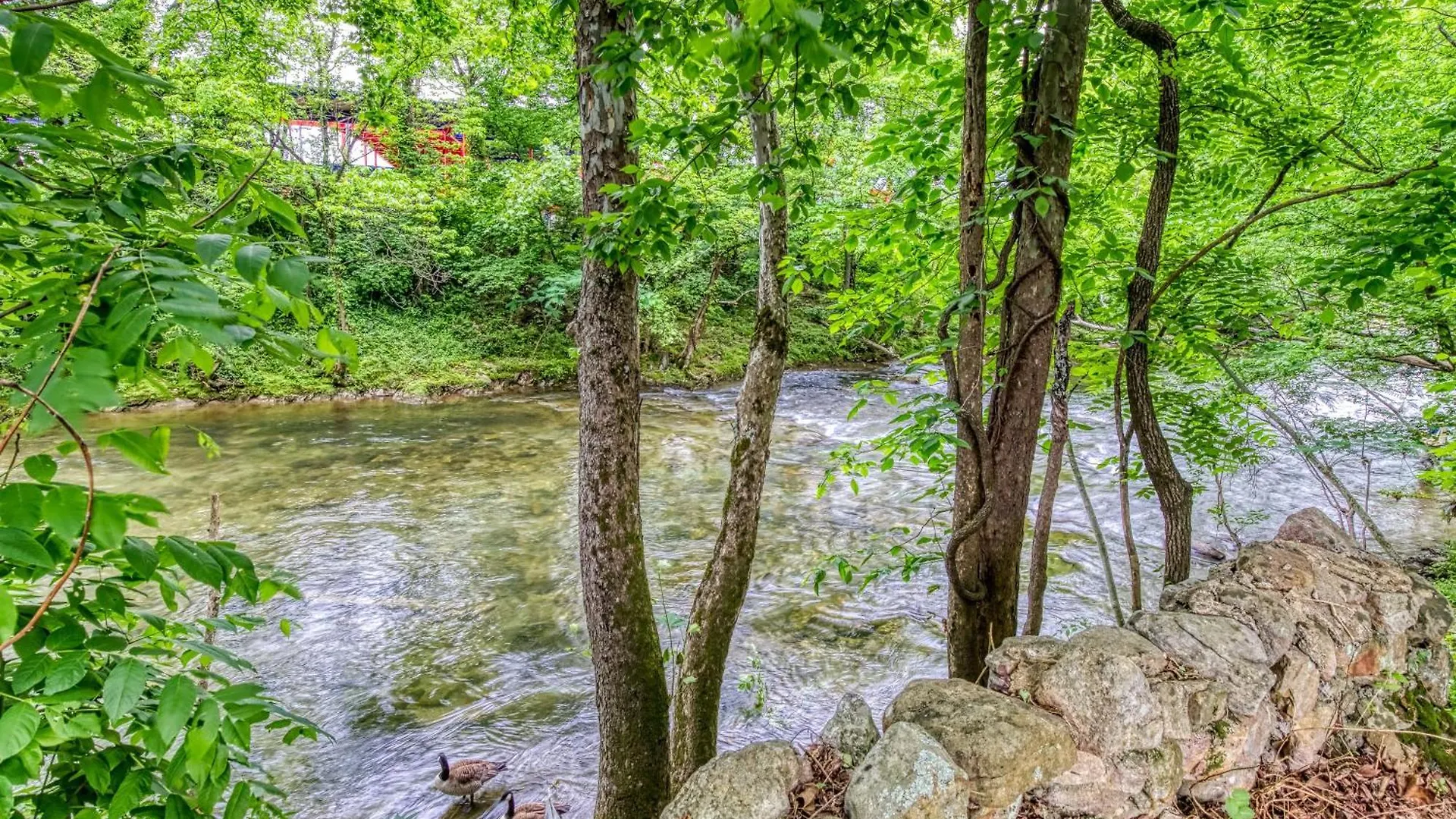 Holiday home River