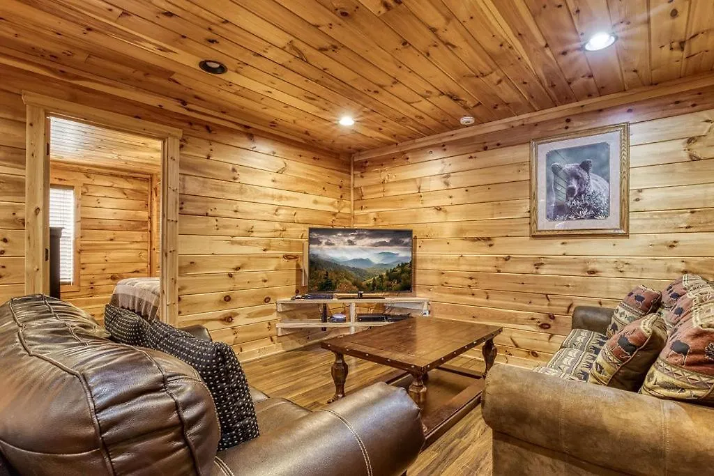 Starwood, Hot Tub, Mtn Views, Arcade Game, 1089 Free Tickets Each Paid Day, Dollywood And Holiday home