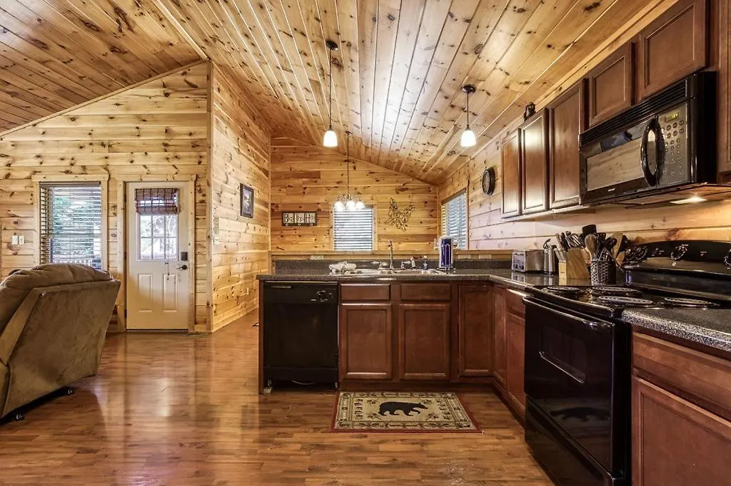 Starwood, Hot Tub, Mtn Views, Arcade Game, 1089 Free Tickets Each Paid Day, Dollywood And Holiday home *