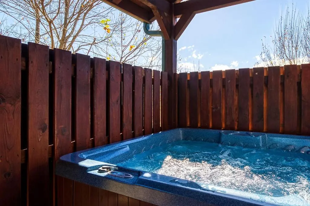 Starwood, Hot Tub, Mtn Views, Arcade Game, 1089 Free Tickets Each Paid Day, Dollywood And Holiday home