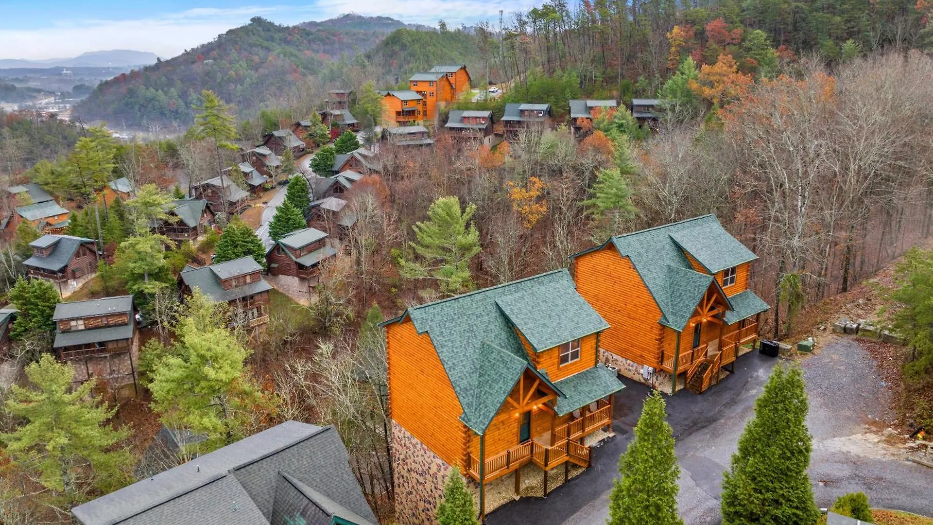 Zen Z Bear Pigeon Forge