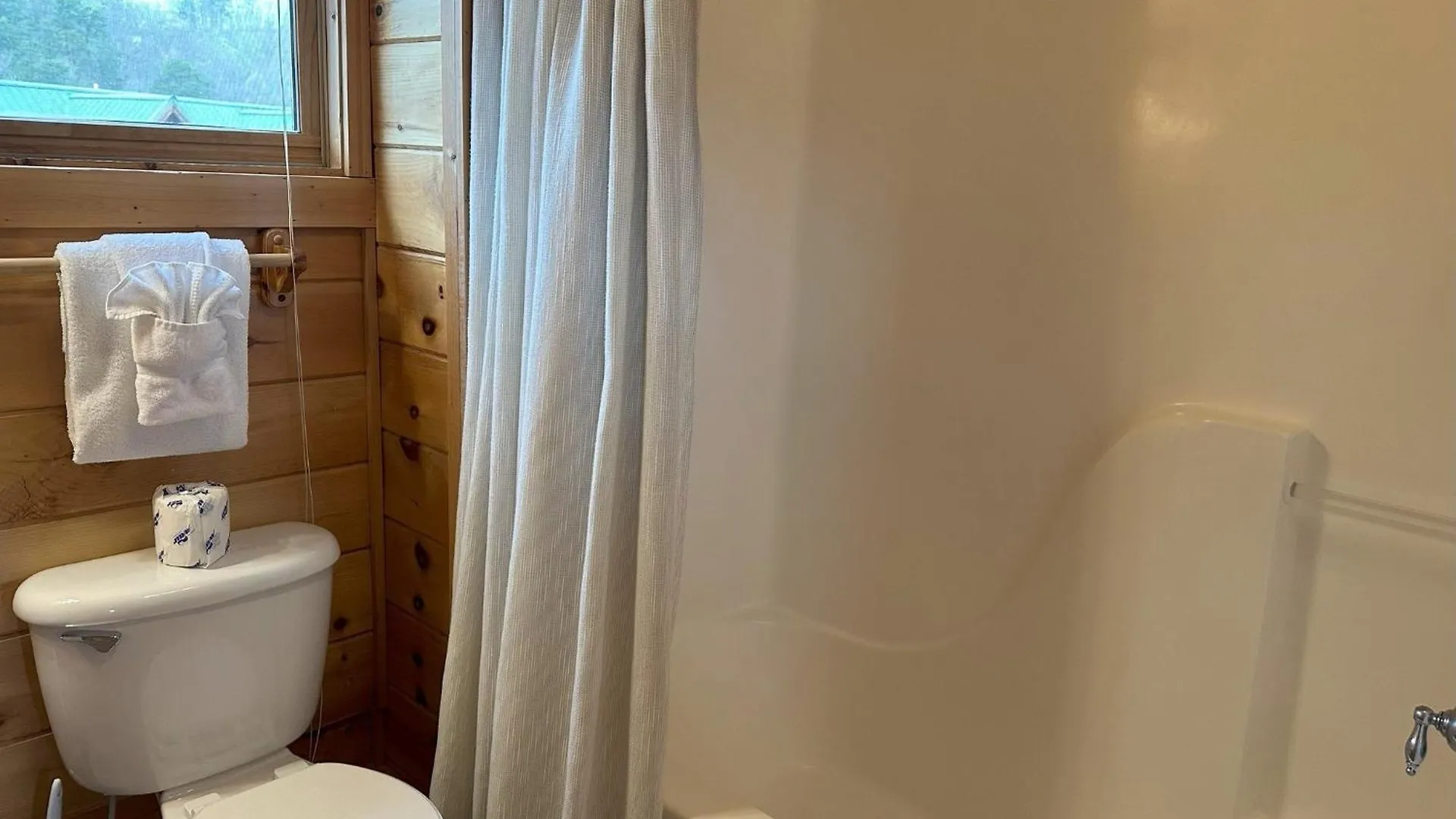 One-bedroom House Pigeon Forge