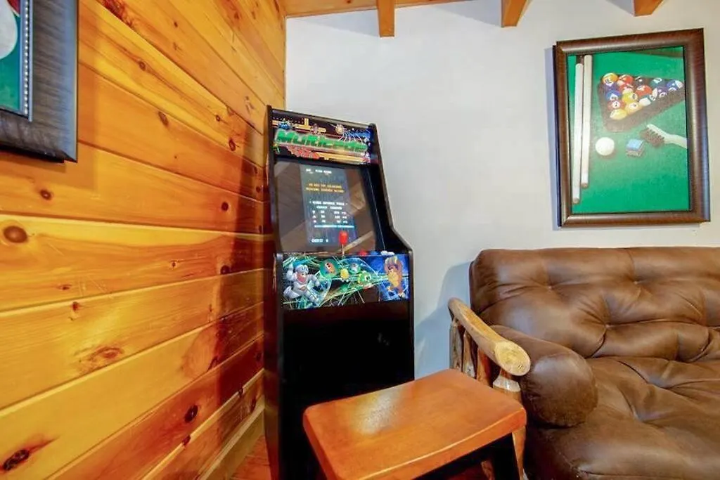 Pigeonforge Game Roomdog Friendlyhot Tub