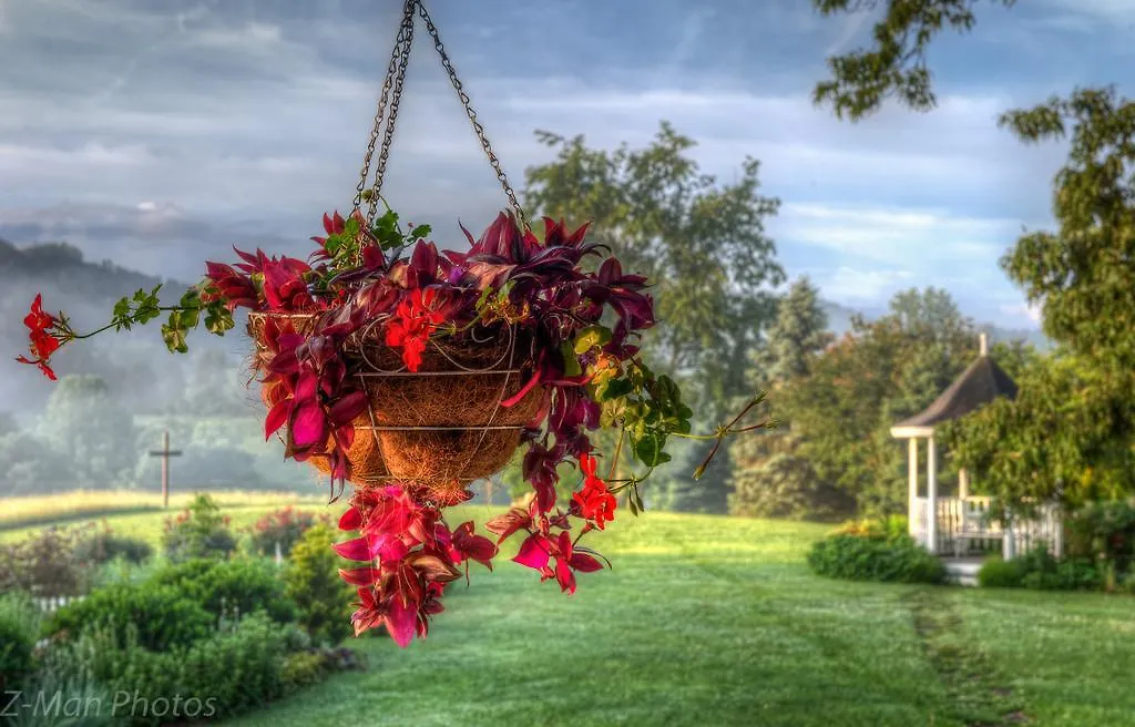Blue Mountain Mist Country Bed & Breakfast