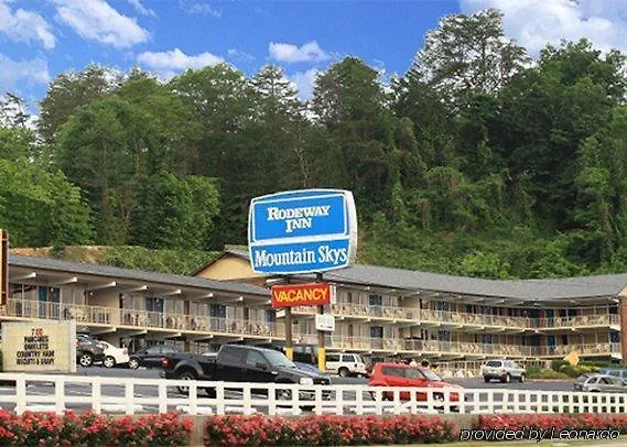 Wild Bear Pigeon Forge