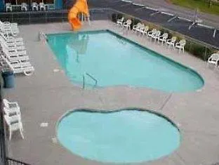 Motel Wild Bear Pigeon Forge