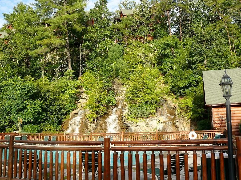 Enchanted Forest