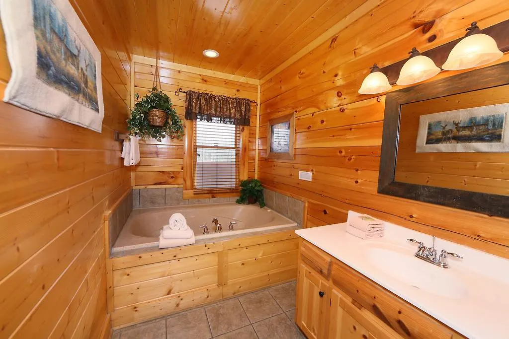 Rising Eagle - Eight Bedroom Holiday home Pigeon Forge