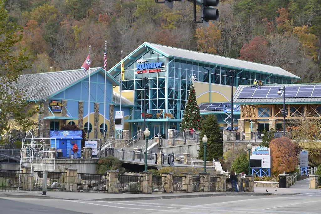 Rising Eagle - Eight Bedroom Pigeon Forge