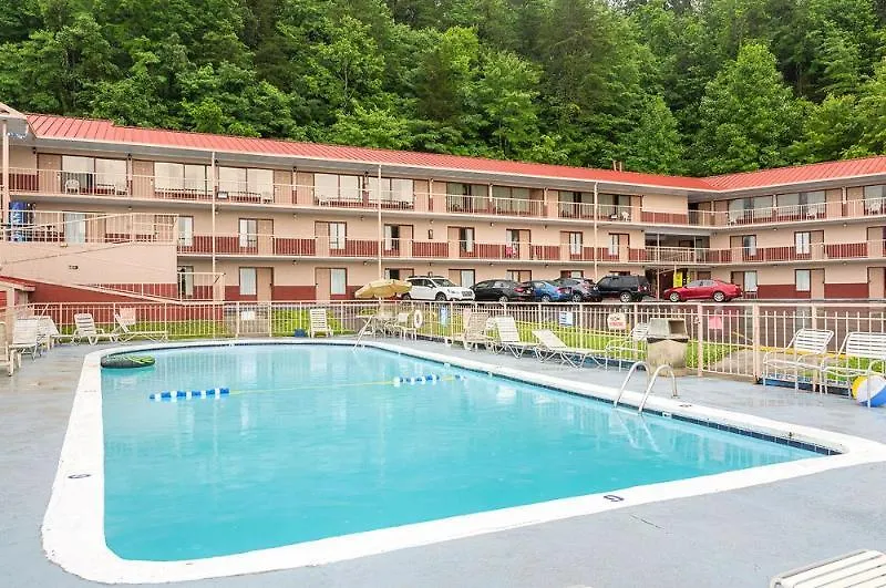 Wild Bear 3* Pigeon Forge