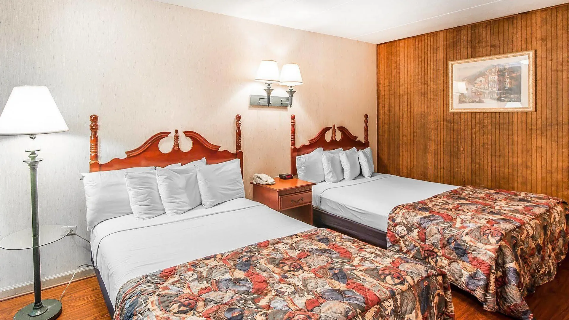 Wild Bear Pigeon Forge