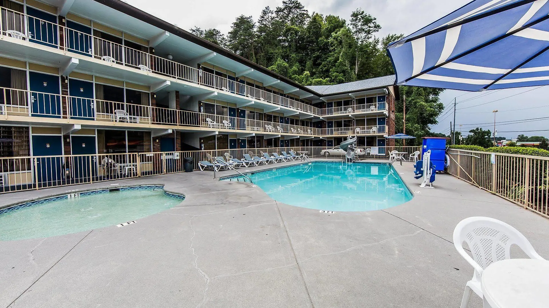 Wild Bear Pigeon Forge