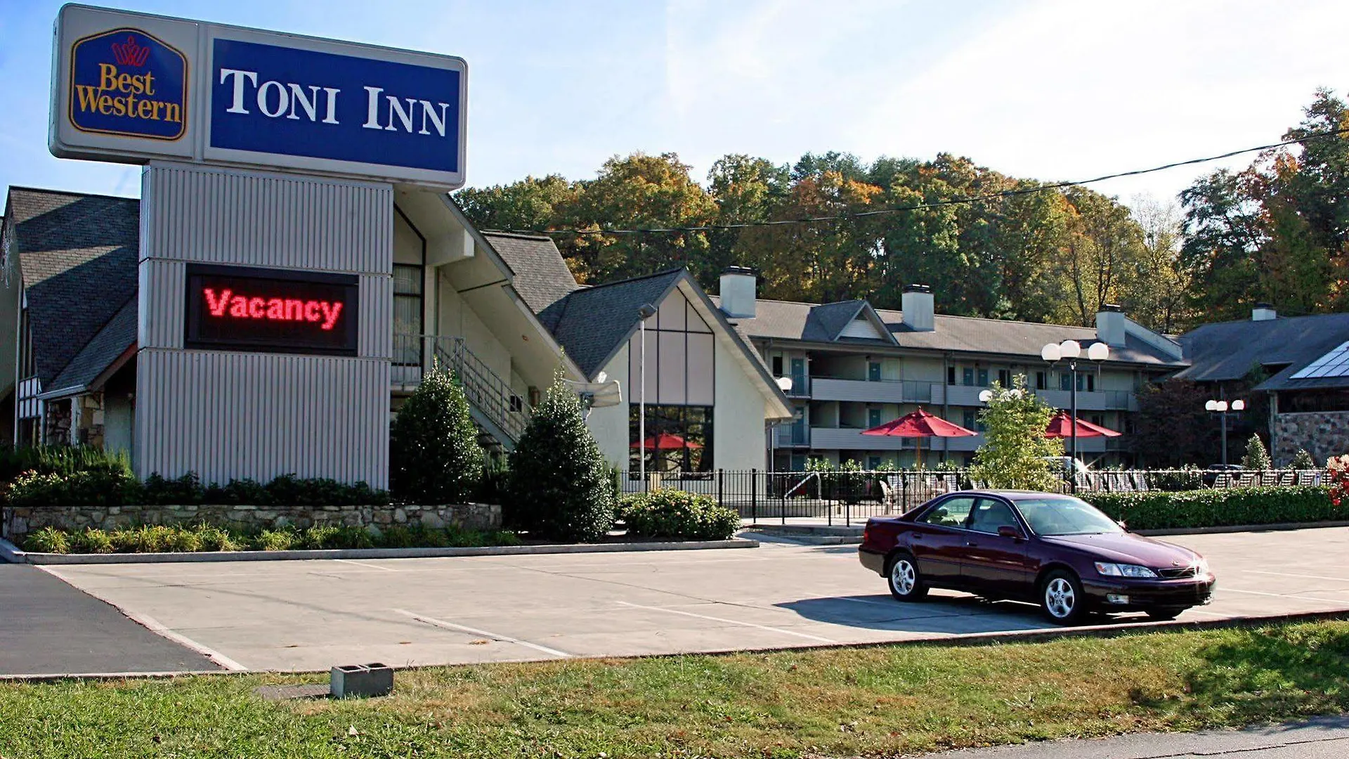 Western Toni Pigeon Forge