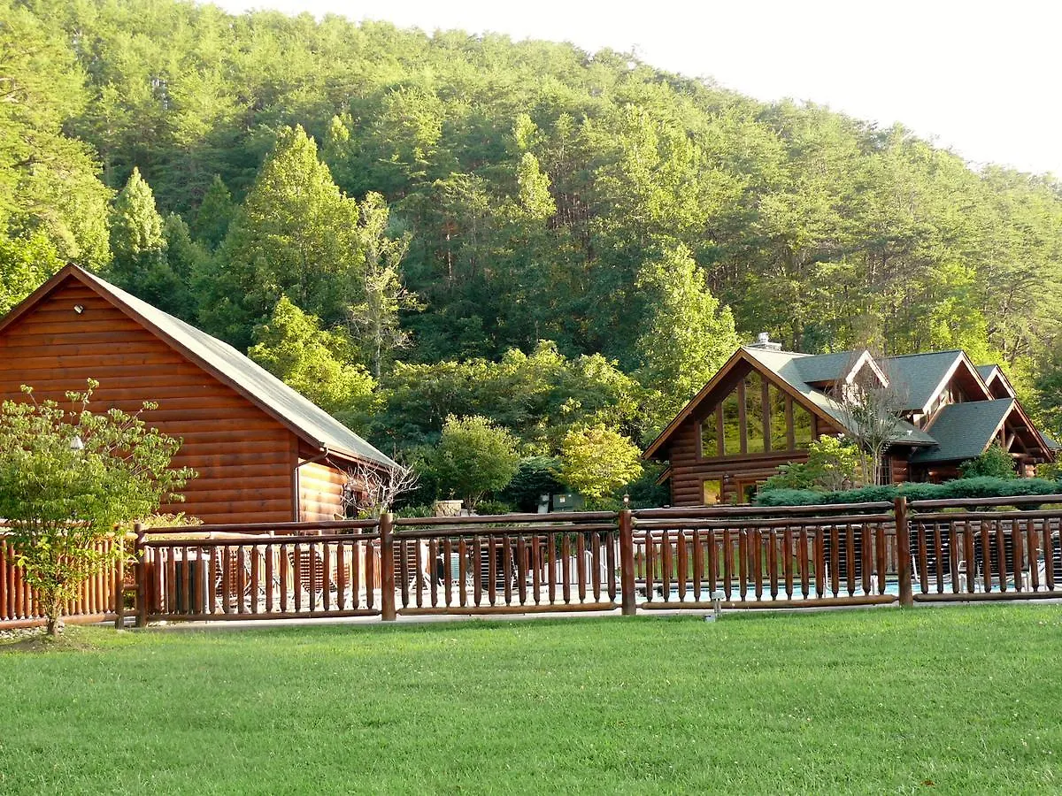 Hakuna Matata Pigeon Forge