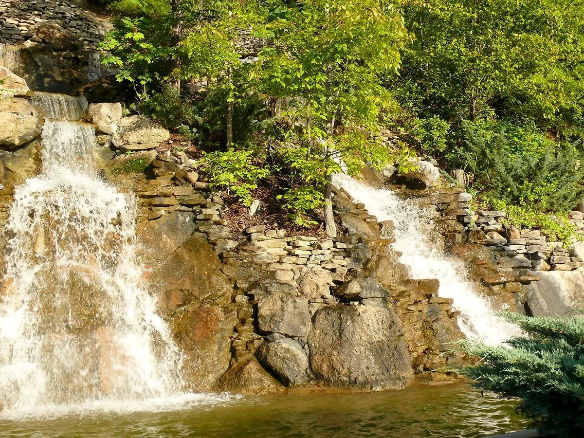 Hakuna Matata * Pigeon Forge