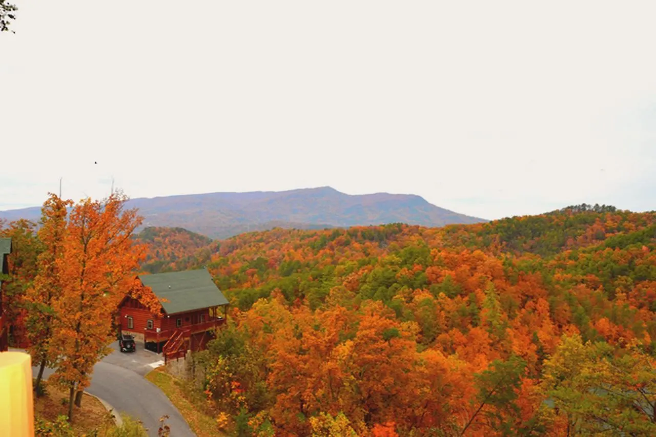 Holiday home Wild Mountain Honey 3 Bedroom/3 Bath With Theater *