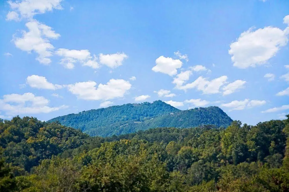Appleview River 3*
