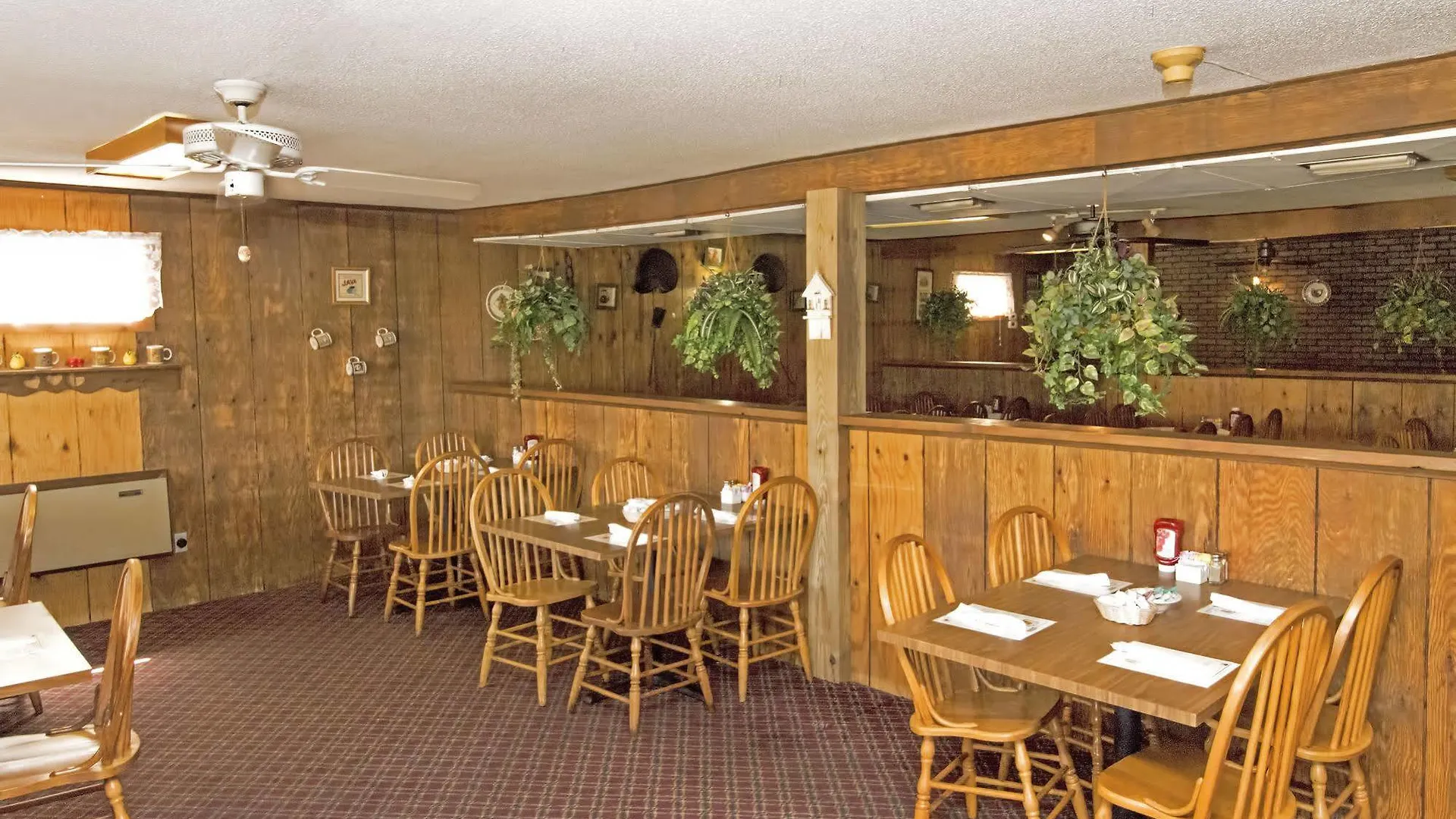 Wild Bear 3* Pigeon Forge