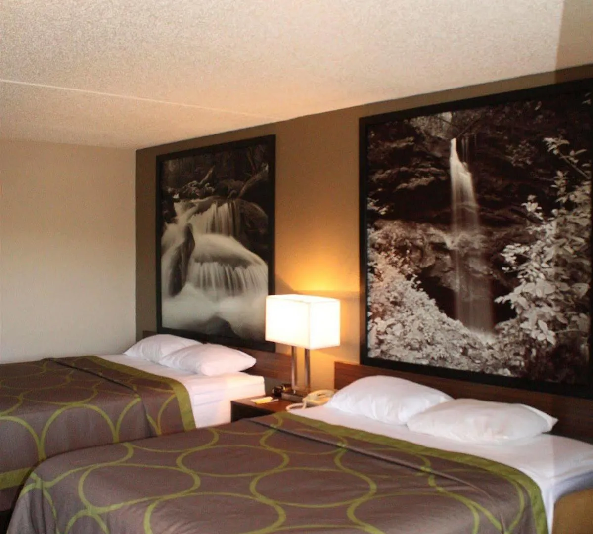Hotel Super 8 By Wyndham Pigeon Forge-emert St Pigeon Forge