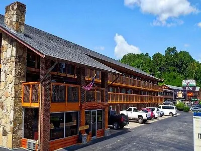 Motel Wild Bear