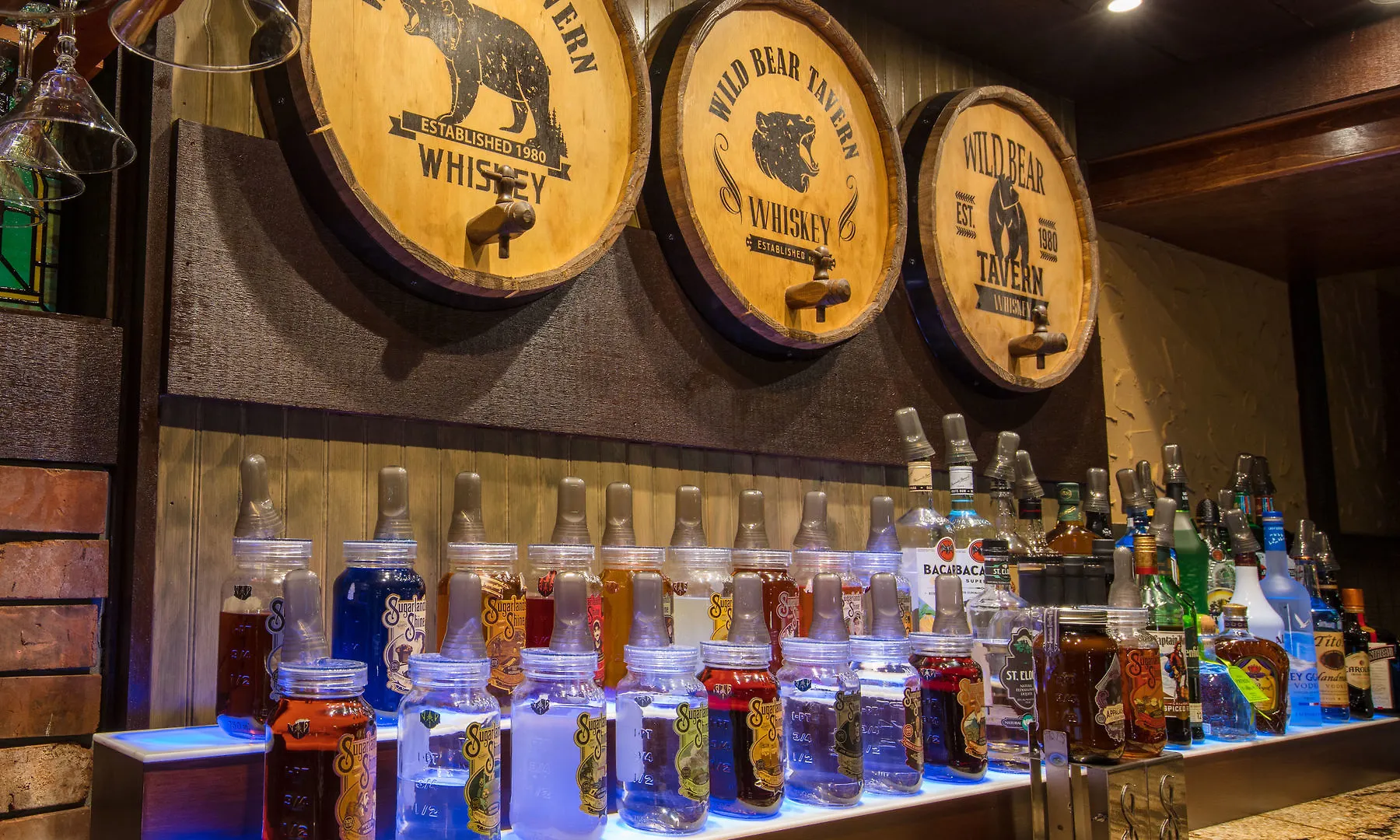 Wild Bear 3* Pigeon Forge