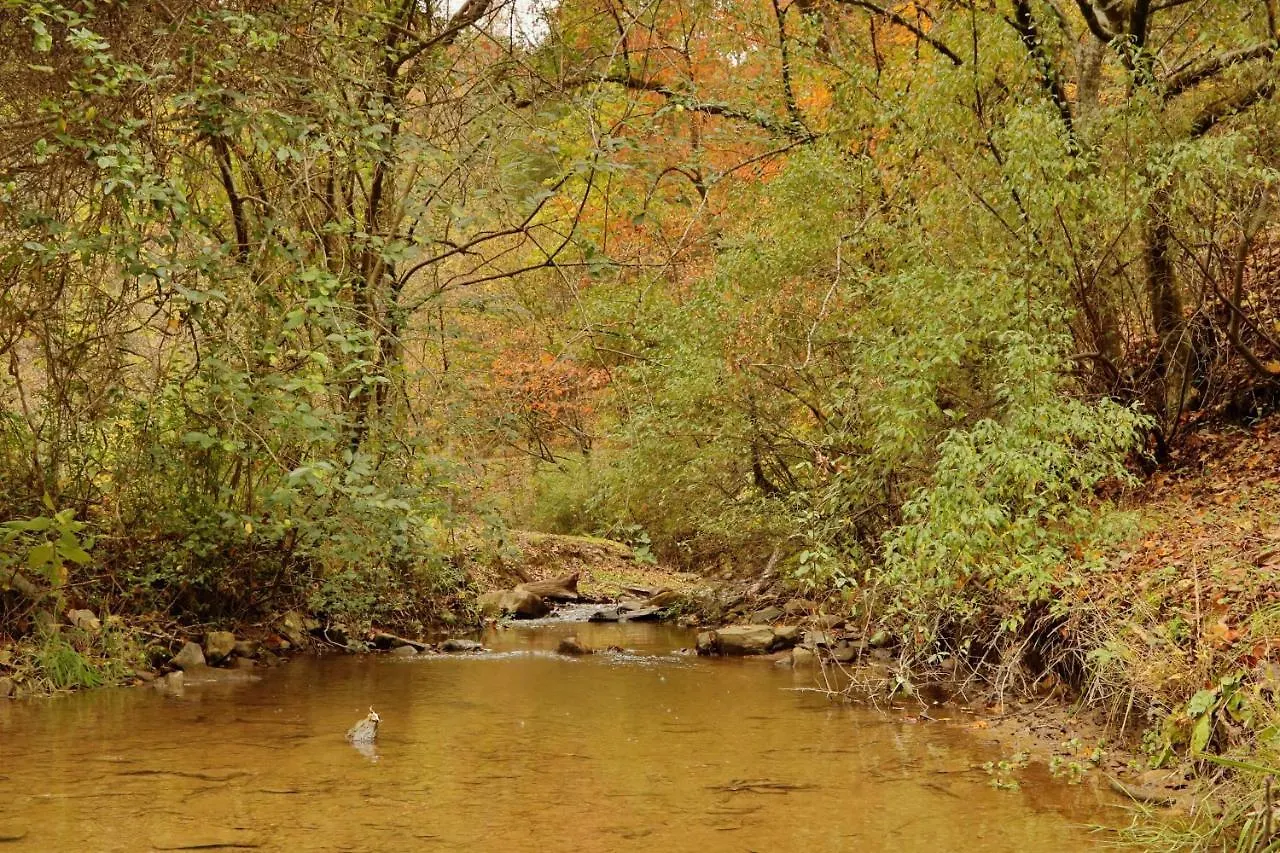 Holiday home Creekside Tranquility 365 - One Bedroom Cabin *