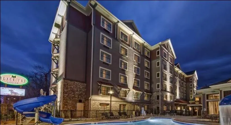 Black Fox Pigeon Forge, Tapestry Collection By Hilton 4*