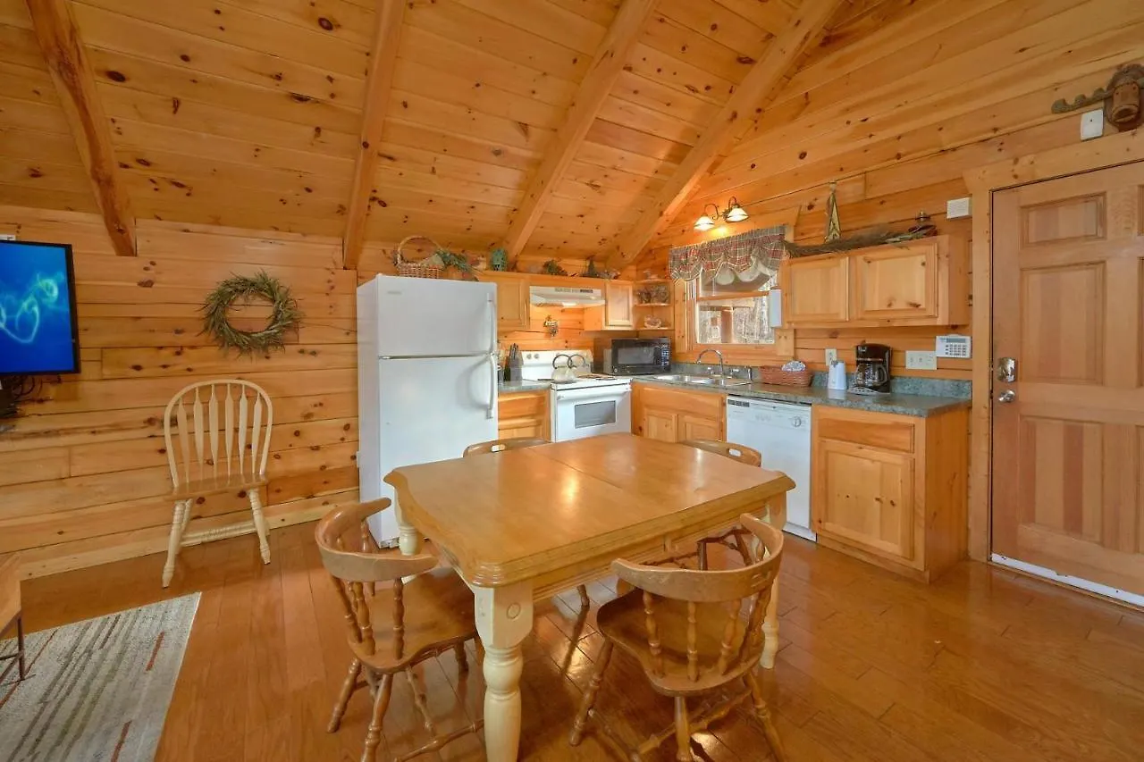 Holiday home Hanky Panky Pigeon Forge