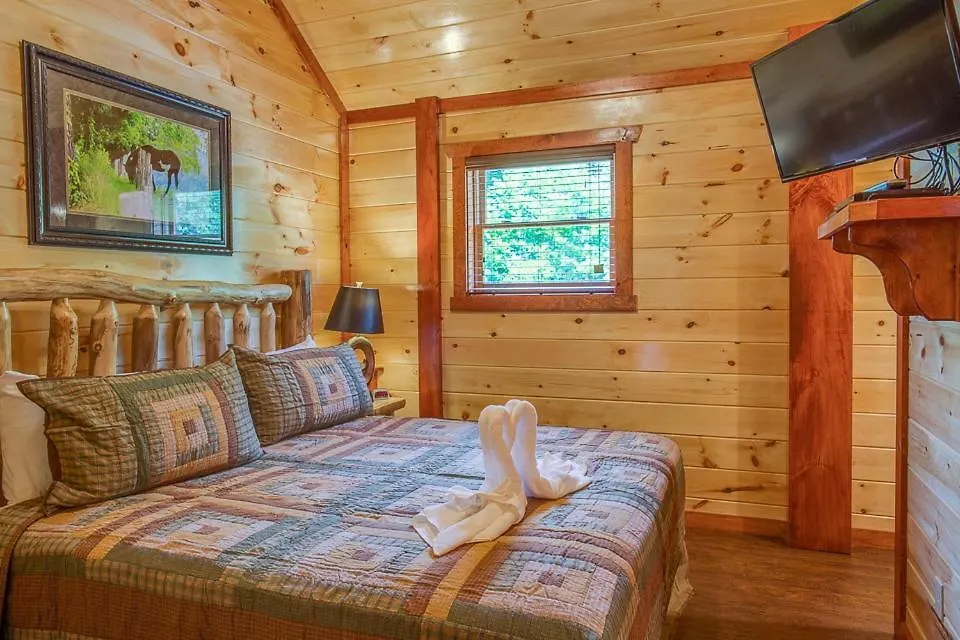Sherwood Splash Lodge, 11 Bedrooms, Sleeps 52, Theater, Indoor Pool, Free Wifi Holiday home