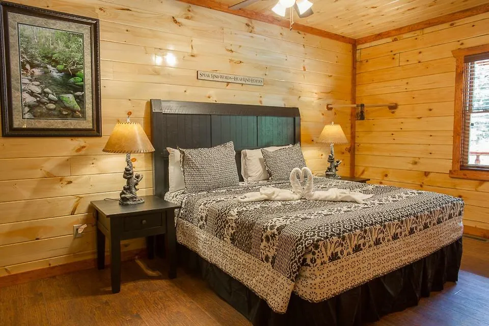 Sherwood Splash Lodge, 11 Bedrooms, Sleeps 52, Theater, Indoor Pool, Free Wifi