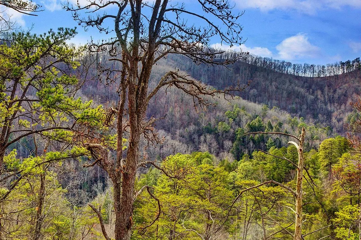 A River Runs Through It Cabin Pigeon Forge