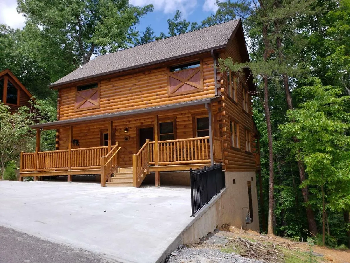Black Bear Getaway