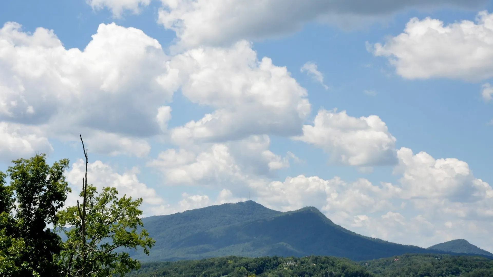 The Of The Great Smoky Mountains