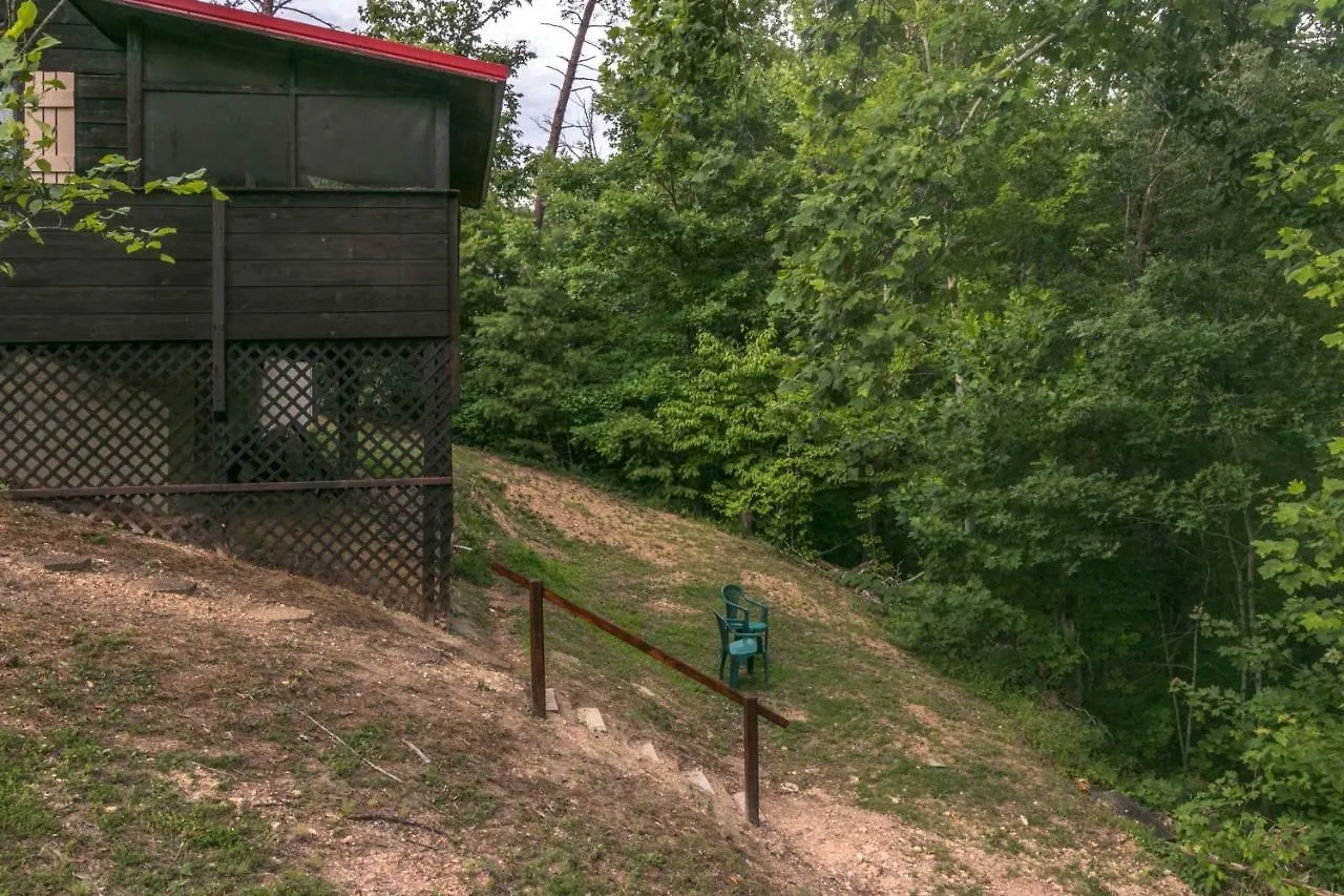 Mountaintop Hideaway Holiday home *