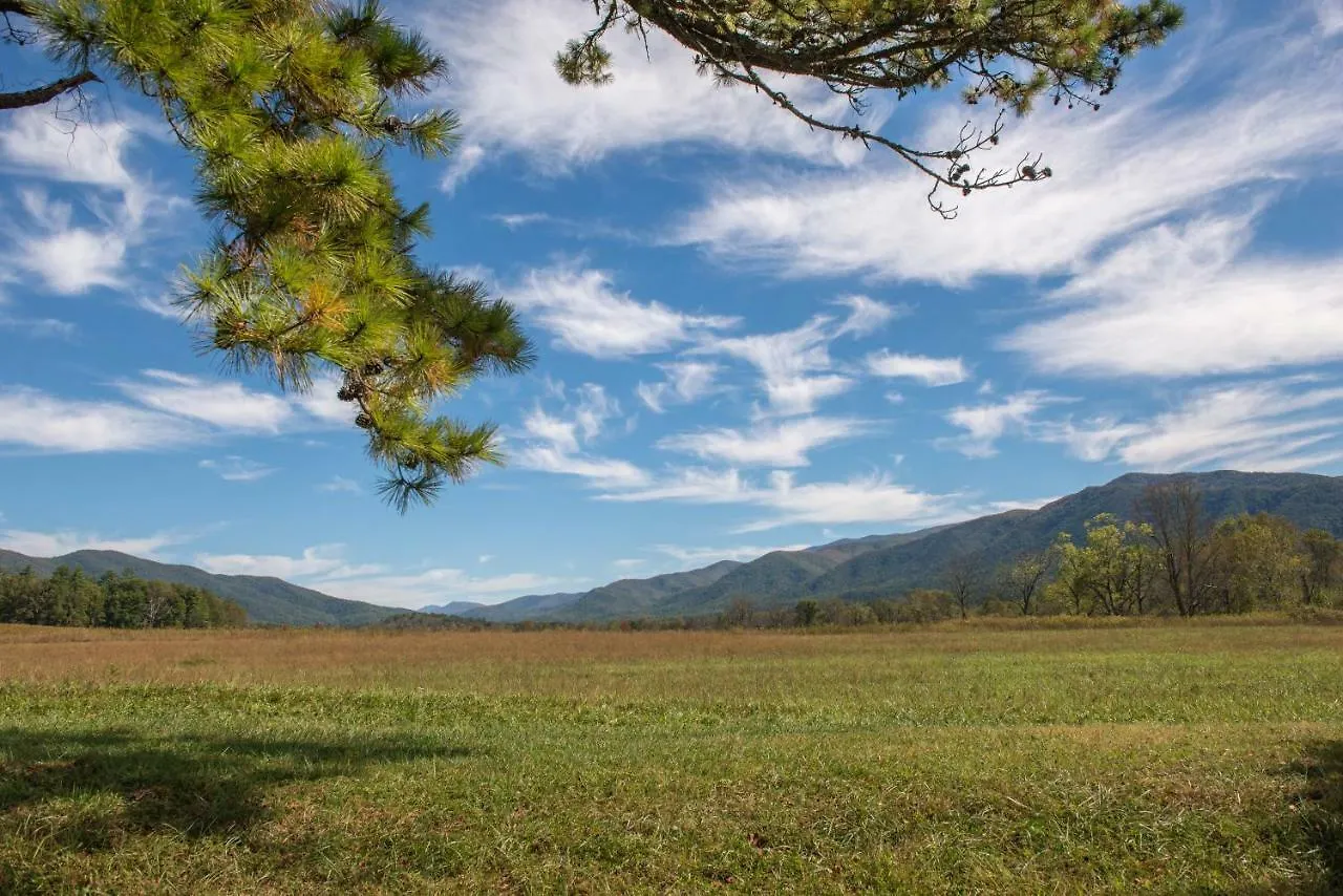 A Barefoot Landing Pigeon Forge