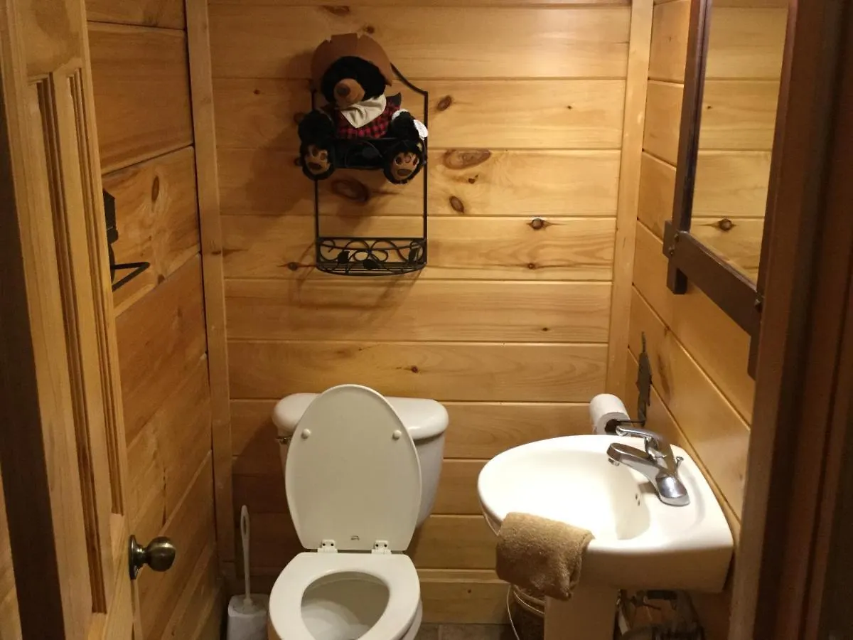 別荘 2 Swimming Pools Free Mini Golf Honey Bear Mtn Cabin - Hot Tub - Pool Table