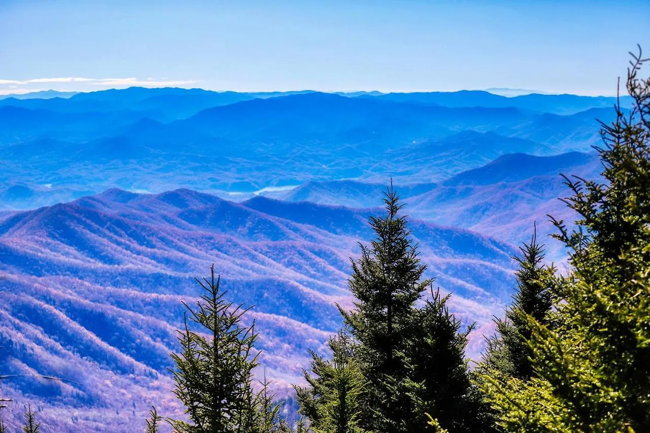 100 Mile View *