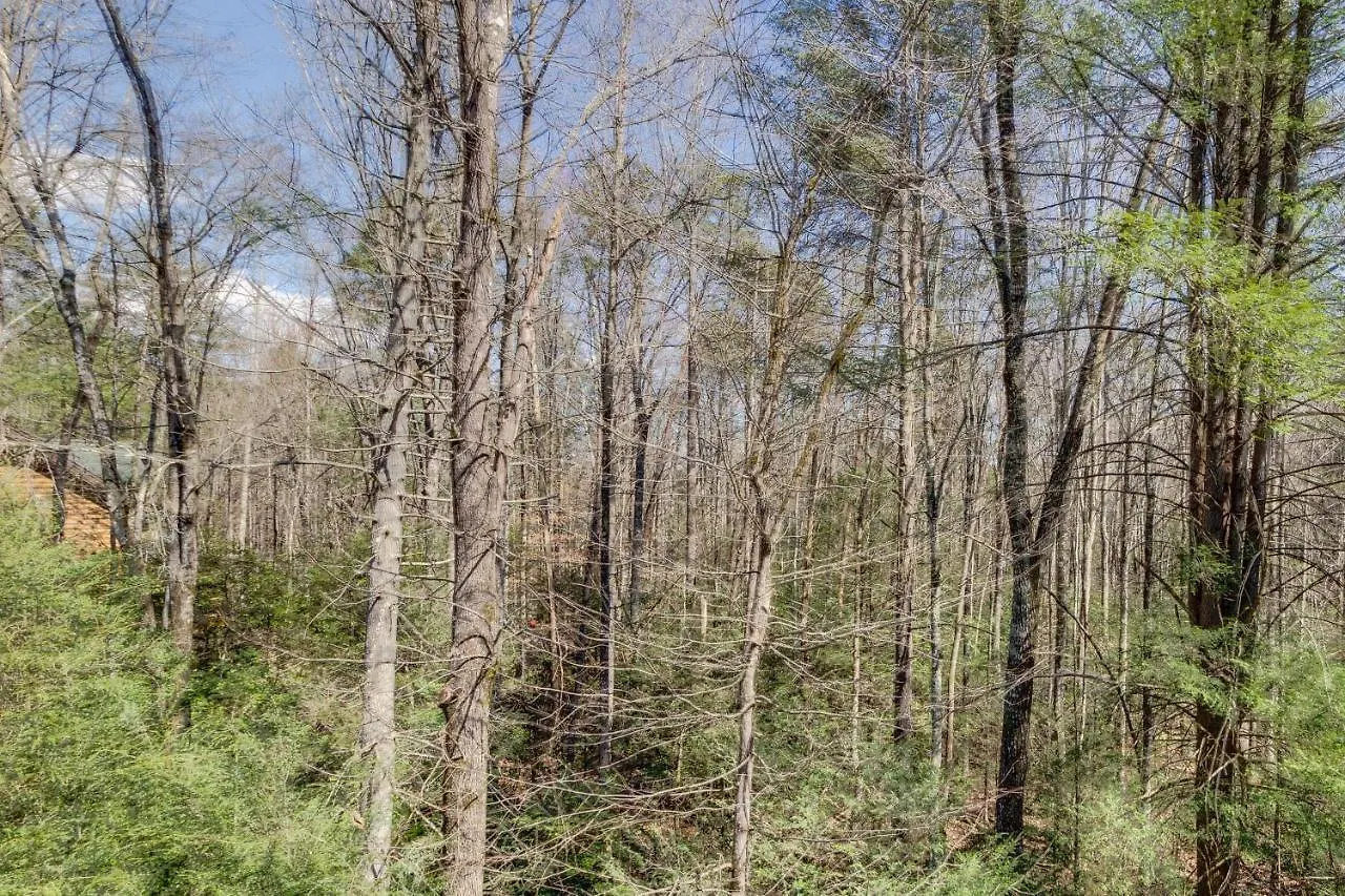 Tennessee Treasure * Pigeon Forge