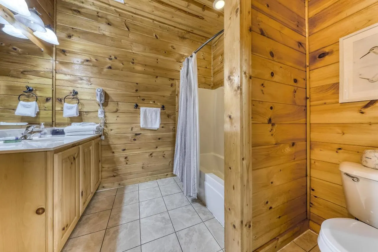 A Mountain Paradise Holiday home Pigeon Forge