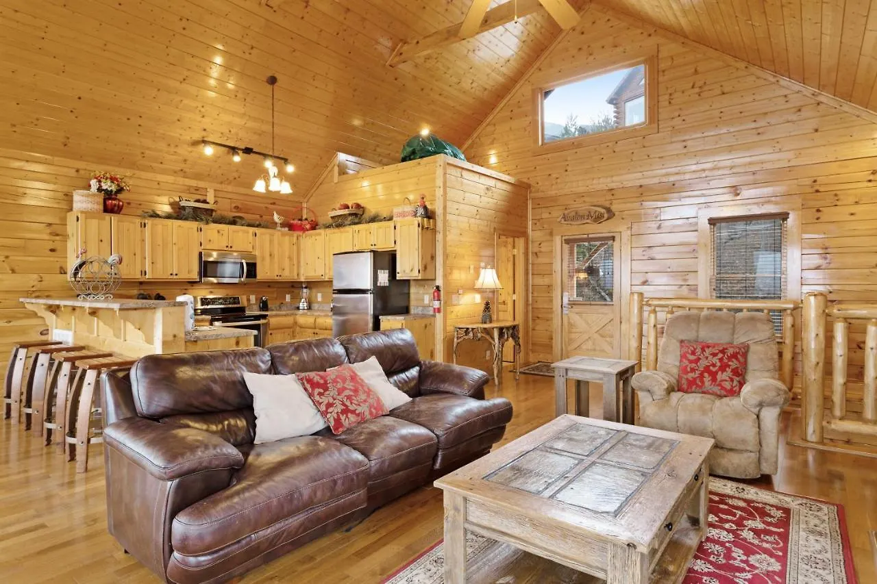 Avalon Mist Holiday home Pigeon Forge