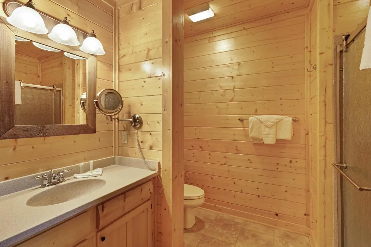 Avalon Mist Holiday home Pigeon Forge