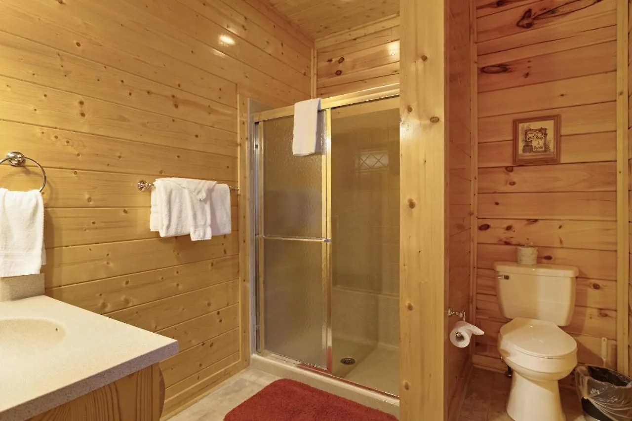 Holiday home Avalon Mist Pigeon Forge