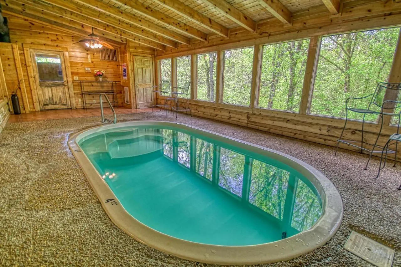 Gone Swimmin' #260 Holiday home Pigeon Forge