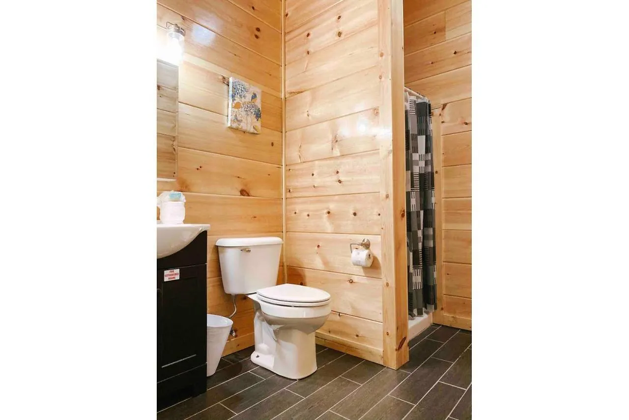Splash Of Moonshine -heated Indoor Pool, Hot Tub, Arcade Game Chalet *