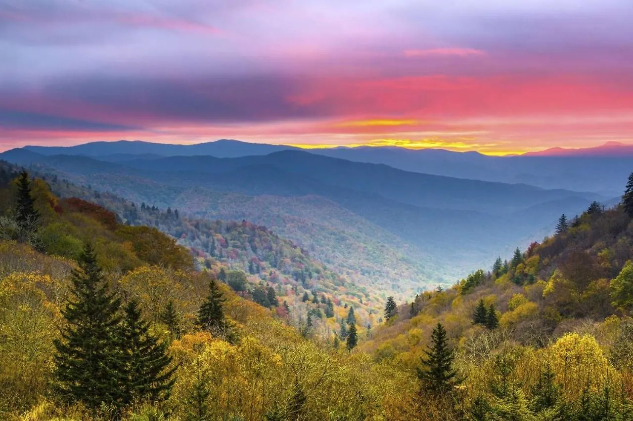 Mountain View #3505
