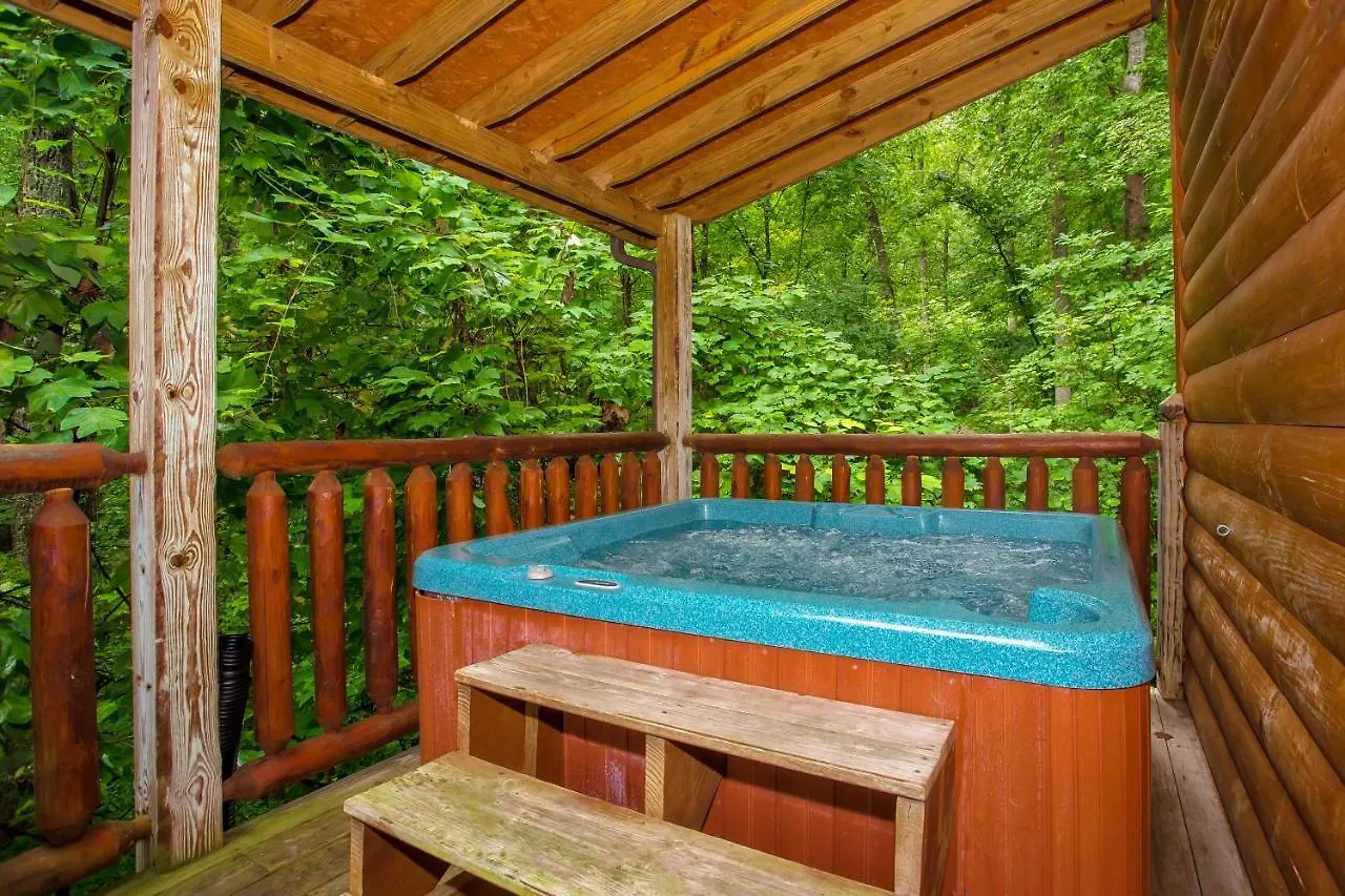 Сasa de vacaciones Sensations, Hot Tub, Pool Table, 1089 Free Tickets Each Paid Day, Dollywood And