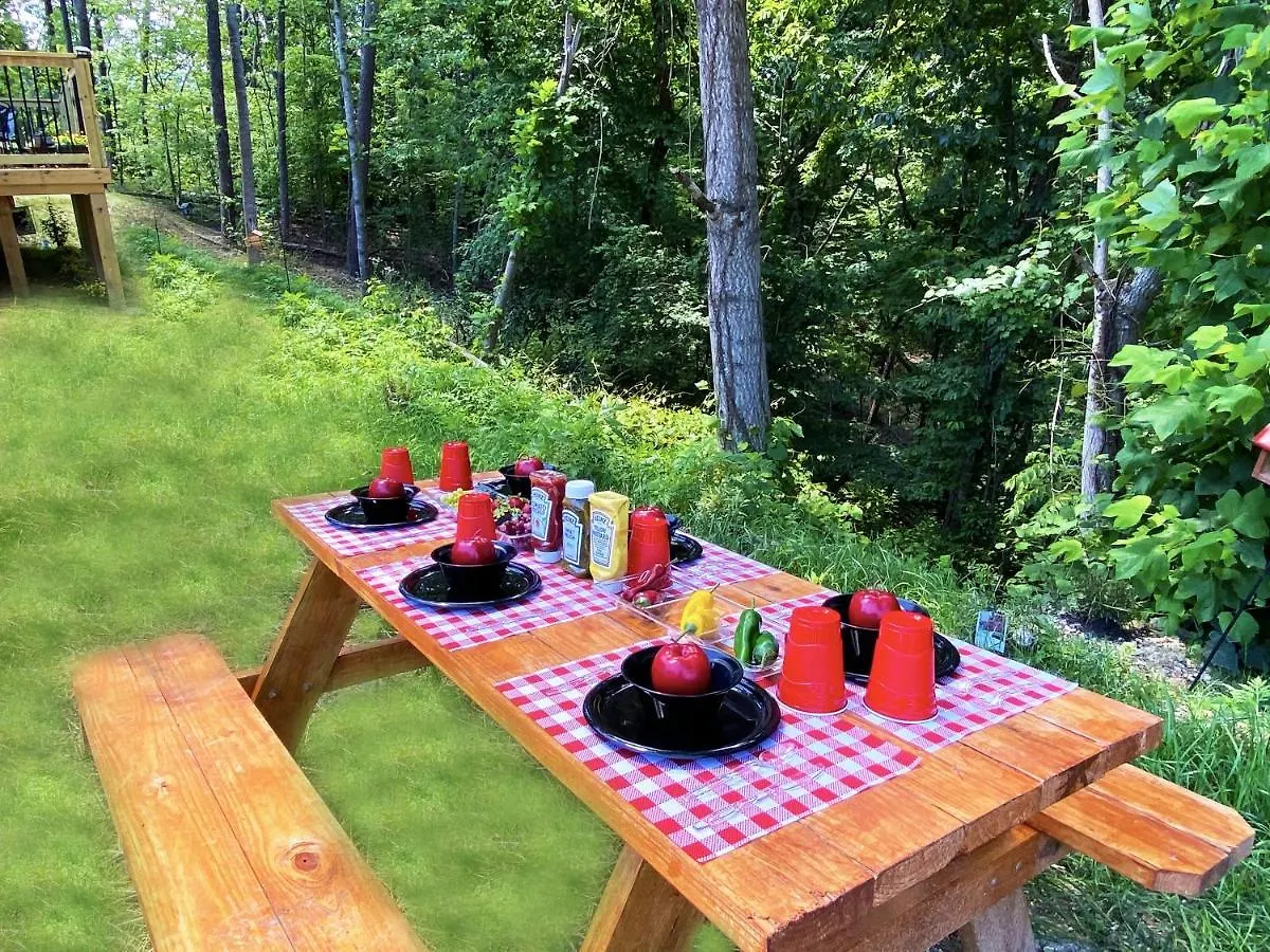 Cozy Bear Den * Pigeon Forge