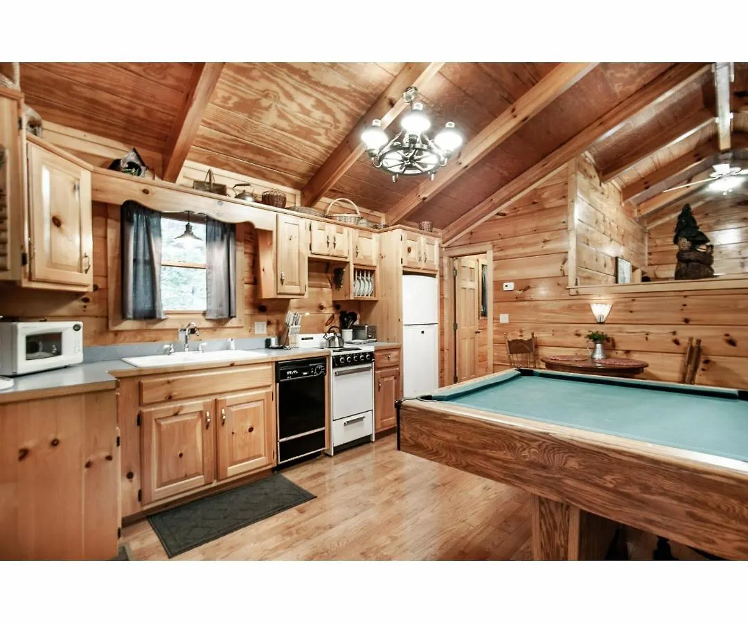 Tatil Evi Peekaboo With Hot Tub, Pool Table, And Jacuzzi Pigeon Forge