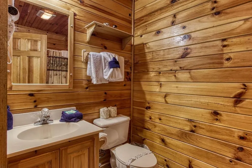 The Nut House, Hot Tub, Game Room, Wifi, 1089 Free Tickets Each Paid Day, Dollywood And More! * Pigeon Forge